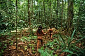 Ecuador, Orellana, Rio Cononaco, blowgun hunting, the Huaorani are one of the last two tribes of hunter-gatherers who live in the heart of the rainforest of Ecuador