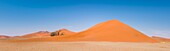 Namibia, Hardap province, Namib-Naukluft National Park, Dune 45 viewpoint