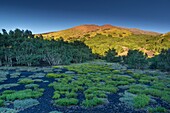 Italy, Sicily, Mount Etna Regional Nature Park, Mount Etna, UNESCO World Heritage Site, North Slope, Mounts Sartorius