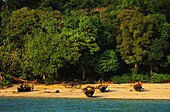 Thailand, Mergui Archipelago, the Moken are among the last nomads of the sea