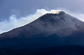 Italy, Sicily, Mount Etna Regional Nature Park, Mount Etna, UNESCO World Heritage Site, North Slope, Beef valley