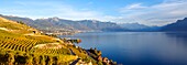 Switzerland, Canton of Vaud, Lavaux Vineyard Terraces listed as World Heritage by UNESCO, it extends from Montreux to Lausanne on 32km along Lake Geneva and 850ha