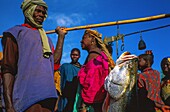 Mali, Sahara, Niger River, Bozo Fishermen Family on the banks of the Niger River