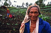 Indonesia, Java, Bromo Volcano, Every year ceremonies take place on the volcano