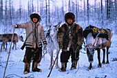 Russia, Sakha, the Evenks are nomadic reindeer herders of the taiga in Siberia