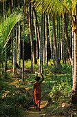 Thailand,Mergui-Archipel,die Moken gehören zu den letzten Nomaden des Meeres