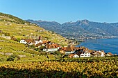 Switzerland, Canton of Vaud, Lavaux Vineyard Terraces listed as World Heritage by UNESCO, it extends from Montreux to Lausanne on 32km along Lake Geneva and 850ha, the village of Rivaz