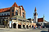 Germany, Bavaria, Munich (München), Viktualienmarkt (daily food market), the biggest market of the city existing since 1807, gallery and the old Town Hall (Altes Rathaus)