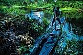 Ecuador,Tena,Eintauchen in das Leben der Waoranis des Rio Nushino,Lagune Tetapari,Angeln eines elektrischen Aals,Electrophorus electricus