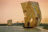 Mali, Sahara, Niger river, Scenes of life on the Niger River