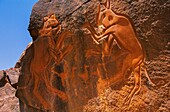 Libya, Sahara, Rock carvings from Messak Settafet