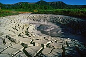 Russia, Kamchatka, Sources of mud in the Uzon caldera, Kamchatka