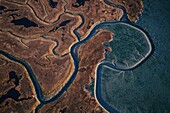 Vereinigte Staaten,Wattenmeer in Cook Bay aus der Luft gesehen (Luftaufnahme)