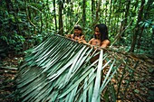 Ecuador, Orellana, Rio Cononaco, Construction of a hut and baskets, the Huaorani are one of the last two tribes of hunter-gatherers who live in the heart of the rainforest of Ecuador