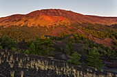 Italy, Sicily, Mount Etna Regional Nature Park, Mount Etna, UNESCO World Heritage Site, North Slope, Mounts Sartorius