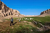 China, Xinjiang autonomous region, Turfan or Turpan, ruined ancient cities of Jiaohe and Gaocheng, stops on the Silk Road