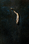 A dried, sun-dried sea fish, ham, anchovies, on a dark textured background. Salty traditional appetiser. Seafood background
