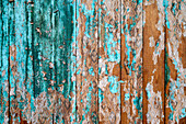Mexiko,Baja California Sur. Detail eines bemalten Zauns.