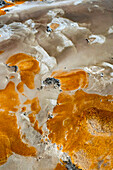 USA,Wyoming. Abfluss einer heißen Quelle,Yellowstone National Park