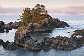 Rugged coast along Wild Pacific Trail. in Ucluelet, Vancouver Island, British Columbia.