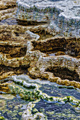 Travertinbecken der Mammoth Hot Springs im Yellowstone National Park