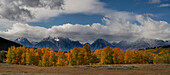 USA, Wyoming. Panoramic view of Mount Moran and fall Cottonwood and Aspen trees, Oxbow Bend area, Grand Teton National Park