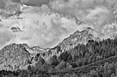 USA, Wyoming. Grand Tetons National Park near Oxbow Bend on the Snake River with Fall colored Aspen grove and backdrop Teton Mountains coming through low clouds