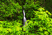 Shepperd's Dell,Columbia River Gorge National Scenic Area,Oregon,USA