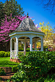 Gazebo and garden, Alexandria, Virginia, USA.