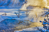 Mammoth Hot Springs im Yellowstone-Nationalpark