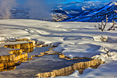 Mammoth Hot Springs im Yellowstone-Nationalpark