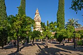 Mosque (Mezquita), Cordoba, UNESCO World Heritage Site, Andalusia, Spain, Europe