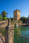 Alcazar de los Reyes Cristianos, Cordoba, UNESCO World Heritage Site, Andalusia, Spain, Europe