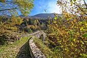 Roman bridge, bridge of the Maglione, Re, Valle Vigezzo, Val d'Ossola, Verbania, Piedmont, Italy, Europe