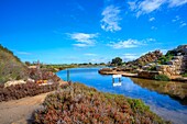 The Kothon, Motya island, Marsala, Trapani, Sicily, Italy, Mediterranean, Europe