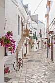 Via degli Azzolino, Mesagne, Brindisi, Salento, Apulia, Italy, Europe