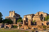 House of the Vestal Virgins in the Roman Forum, Imperial Forums, UNESCO World Heritage Site, Rome, Lazio, Italy, Europe