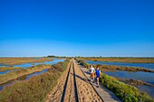 Beach of Barril, Tavira, Algarve, Portugal, Europe