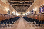 The Arengo Hall, Galleria Giannoni, Novara, Piedmont, Italy, Europe