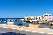 Santa Caterina, Nardo, Lecce, Salento, Apulia, Italy, Europe