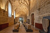 Kirche und Kloster San Marcos Hotel,León,Kastilien und León,Spanien,Europa