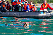 Guests from the Lindblad Expeditions ship National Geographic Sea Bird during Zodiac operations near a feeding sea otter in Southeast Alaska, United States of America, North America