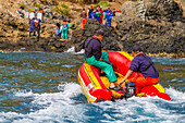 Besatzung des Rettungsschleppers Smit Amandla aus Südafrika am Wrack der MS Oliva auf der Insel Nightingale,Tristan da Cunha Gruppe,Südatlantik