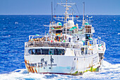 Suspected illegal fishing vessel with shark fins hanging up to dry on the aft deck, encountered near Saint Helena, South Atlantic Ocean