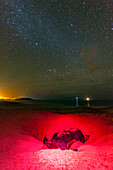 Nistplatz der Grünen Meeresschildkröte (Chelonia mydas) bei Nacht am Long Beach auf der Insel Ascension,Tropischer Atlantik,Südatlantik