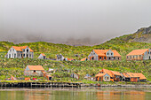 Views of the abandoned whaling station in Prince Olav Harbor on South Georgia, Southern Ocean, Polar Regions