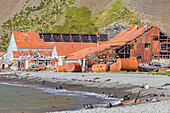 Views of the abandoned whaling station in Stromness Bay on South Georgia, Southern Ocean, Polar Regions