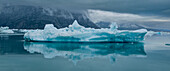 Treibende Eisberge im Nuuk-Eisfjord,Westgrönland,Dänemark,Polarregionen