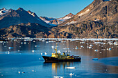 Fishing trawler in the mountainous fjord, Kulusuk, Greenland, Denmark, Polar Regions