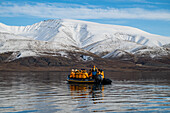 Expedition zodiacs, Axel Heiberg island, Nunavut, Canadian Arctic, Canada, North America